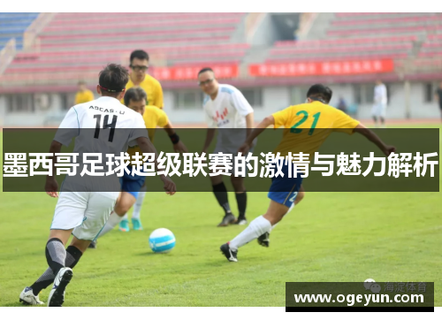 墨西哥足球超级联赛的激情与魅力解析
