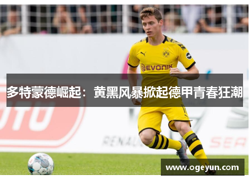 多特蒙德崛起：黄黑风暴掀起德甲青春狂潮